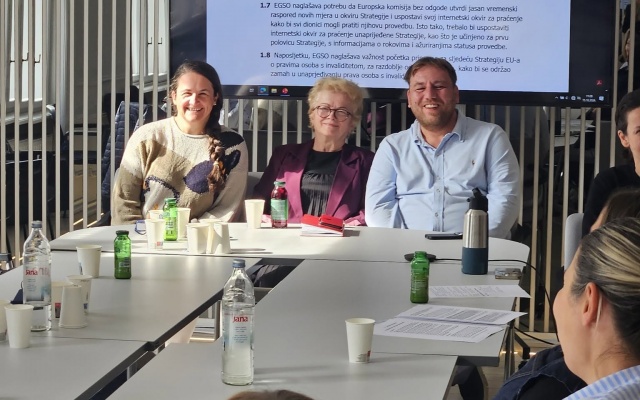 SOIH sudjelovao na savjetovanju „Unaprjeđenje Strategije o pravima osoba s invaliditetom do 2030. godine”