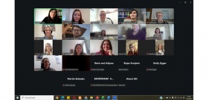 DANOVA NEXT online koordinacijski sastanak