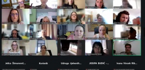 Održana online rasprava „Fokusirajmo se“ o Prijedlogu...